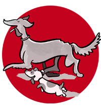 Hundebetreuung in Essen und Mülheim